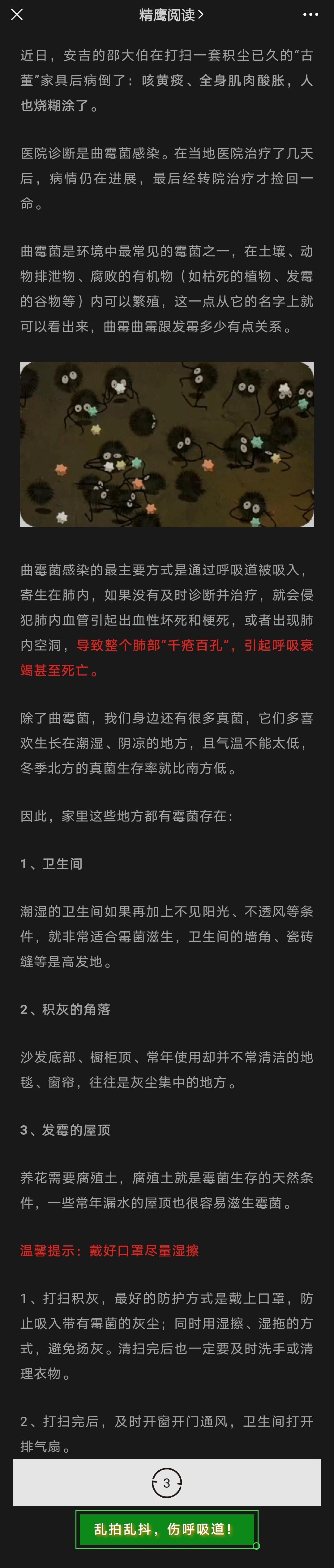 fungus, infection, health, lungs, danger, bacteria, virus, disinfect, sterilise, sterilize, sanitise, sanitize